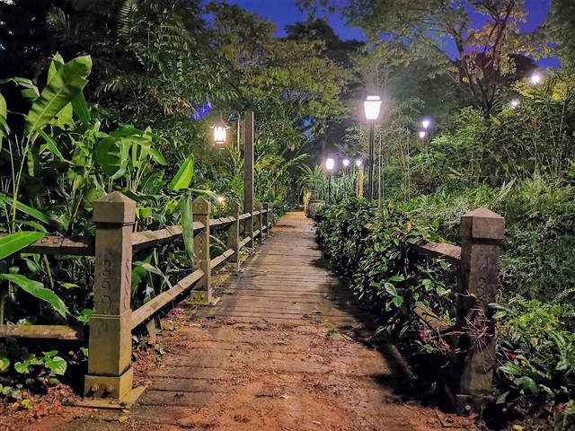 05-park-dark.jpg