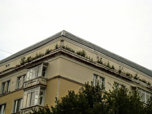 i-6