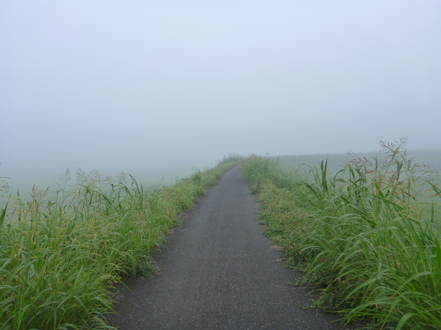 2021-07-16-300
