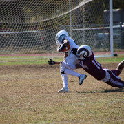 IMG-3488