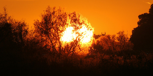 IMG-3622