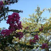 2013-09-28-01