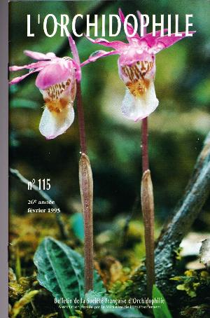 orchido115.jpg?042148