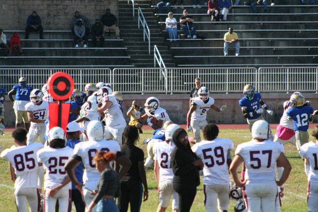 IMG-0966.jpg