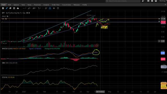 BPT-DAILY