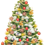 79821128-large-ntree