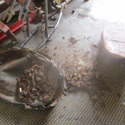 IMG-6010