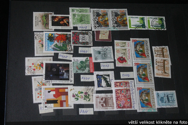 IMG-2585.jpg