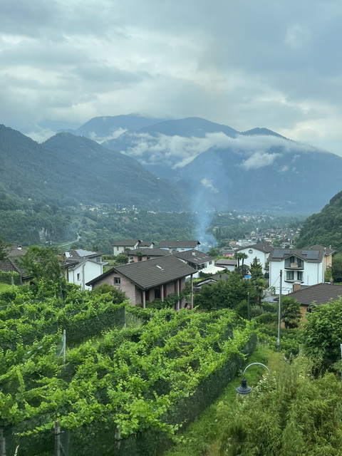 IMG-6007