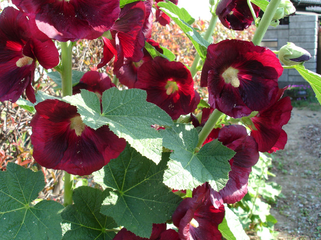 2010-06-03-66.jpg