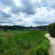 P1320511
