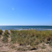 IMG-1499