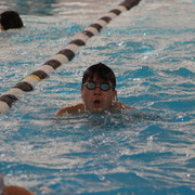 IMG-0334