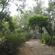 2a03773m