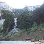 img1d