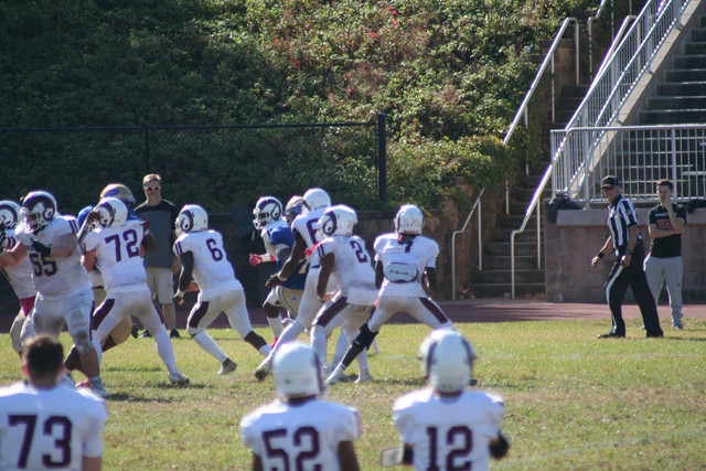 IMG-1177.jpg