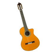 TRIANA-3