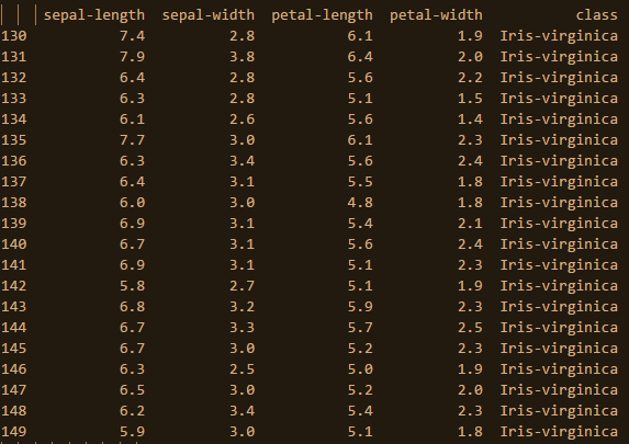 irisdata 20 rows tail.png