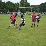 DSC-0508