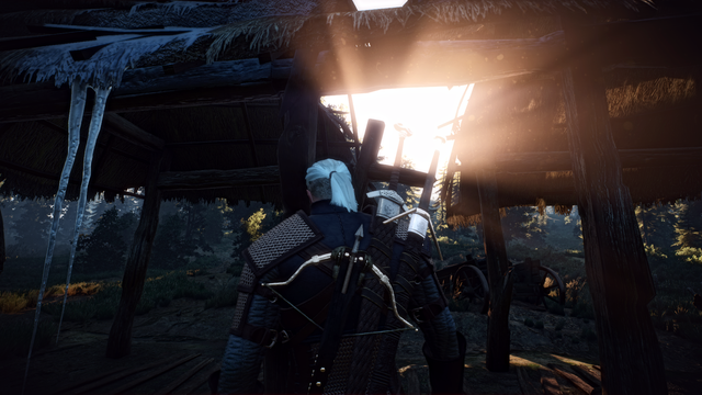 witcher3 2016 08 03 14 17 53.png