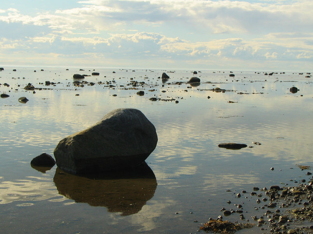 photo212717
