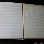 IMG-2011