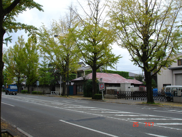 2008-10-25-047