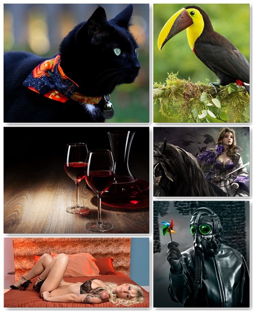 New Best Wallpapers Pack # 309
