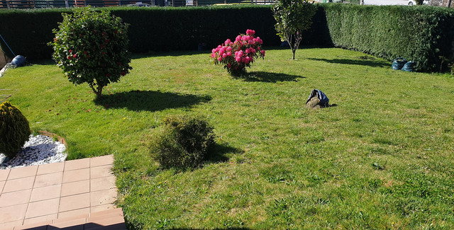terreno