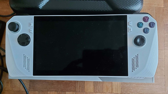 Rog-ally-02