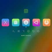 Retina