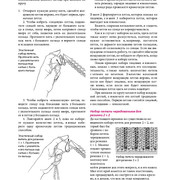 Page-00080