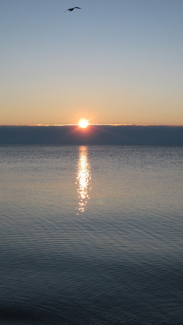 IMG-2264
