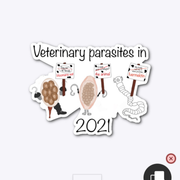Screenshot-20210921-085906
