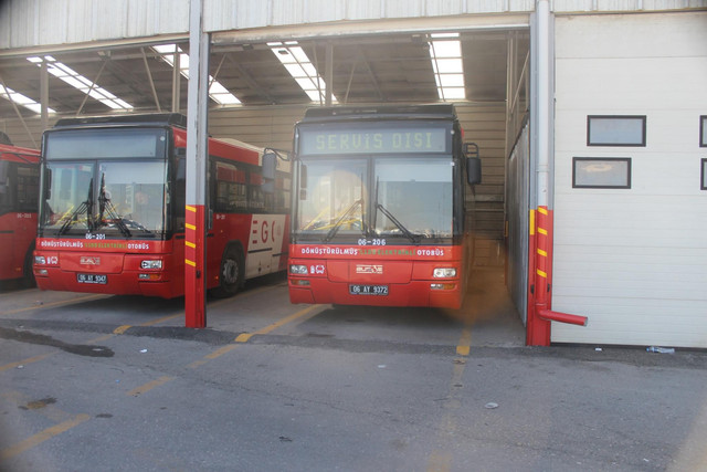 IMG-1147