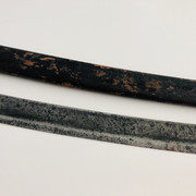 IMG-E5588