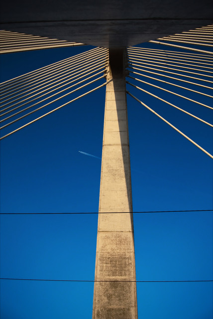 DSC-4966a.jpg