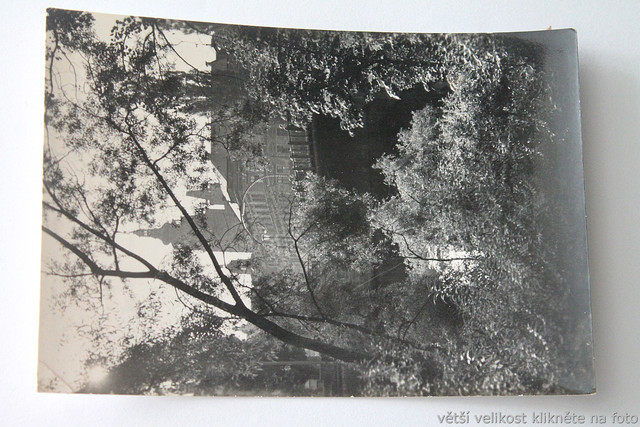 IMG-6887