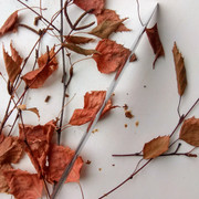 IMG-20181205-121740" border="0