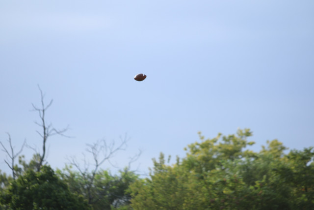 IMG-2152.jpg