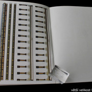 IMG-4556