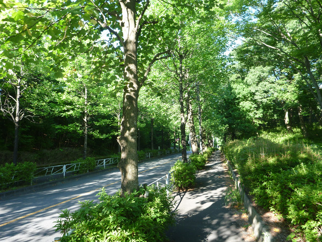 P1320133