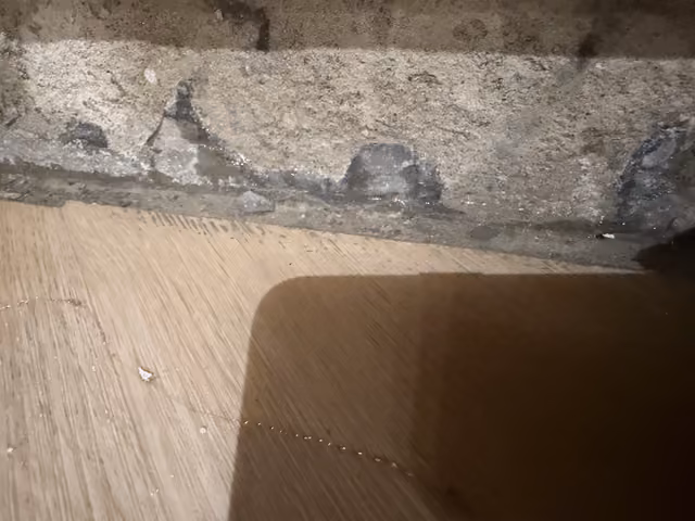 IMG 0035