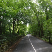 DSCF9139
