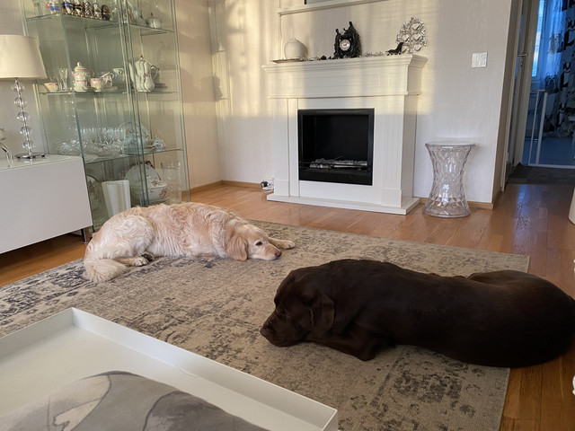 56-AC813-B-C862-40-A6-B493-5-C26494-DB0-