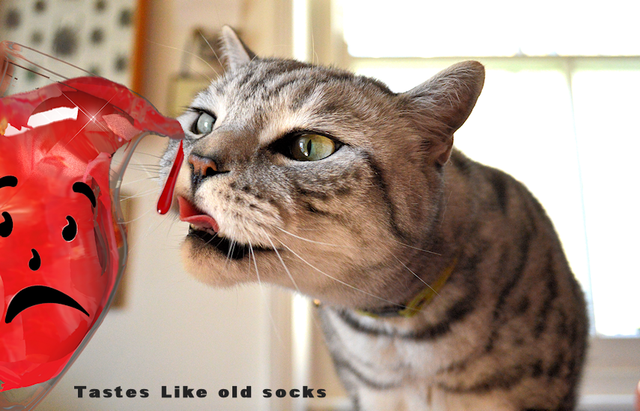 old-socks-6