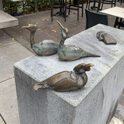 IMG-9913