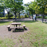 DSC-0088