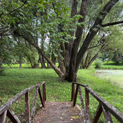 IMG-0538