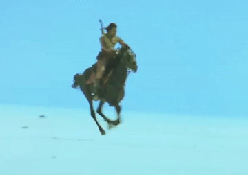 horse1